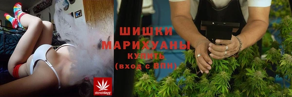 шишки Коряжма