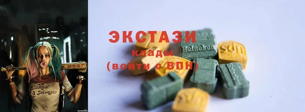 индика Краснотурьинск