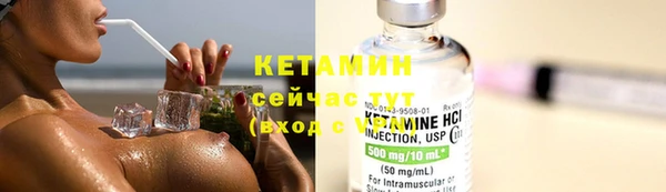 индика Краснотурьинск