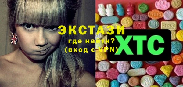 индика Краснотурьинск