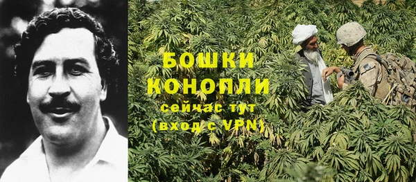 индика Краснотурьинск