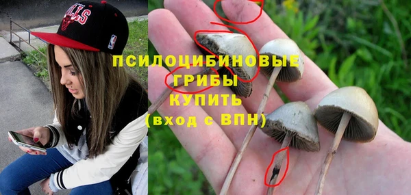 ПСИЛОЦИБИНОВЫЕ ГРИБЫ Красноперекопск