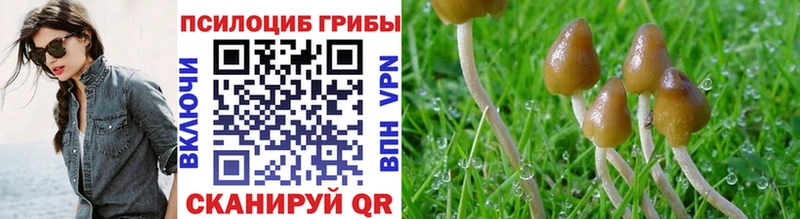 Псилоцибиновые грибы прущие грибы  Снежногорск 